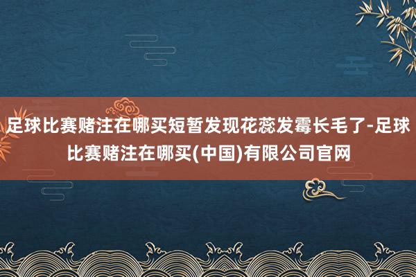 足球比赛赌注在哪买短暂发现花蕊发霉长毛了-足球比赛赌注在哪买(中国)有限公司官网