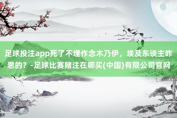 足球投注app死了不埋作念木乃伊，埃及东谈主咋思的？-足球比赛赌注在哪买(中国)有限公司官网