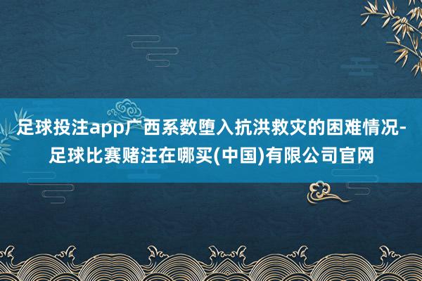 足球投注app广西系数堕入抗洪救灾的困难情况-足球比赛赌注在哪买(中国)有限公司官网