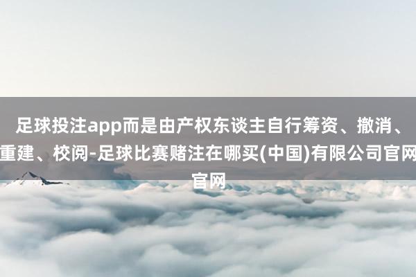 足球投注app而是由产权东谈主自行筹资、撤消、重建、校阅-足球比赛赌注在哪买(中国)有限公司官网