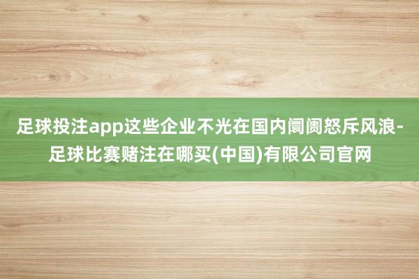 足球投注app这些企业不光在国内阛阓怒斥风浪-足球比赛赌注在哪买(中国)有限公司官网