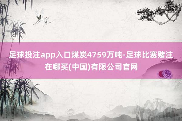 足球投注app入口煤炭4759万吨-足球比赛赌注在哪买(中国)有限公司官网