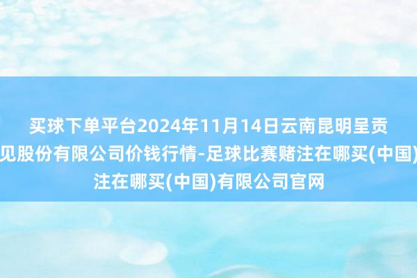 买球下单平台2024年11月14日云南昆明呈贡龙城农家具意见股份有限公司价钱行情-足球比赛赌注在哪买(中国)有限公司官网