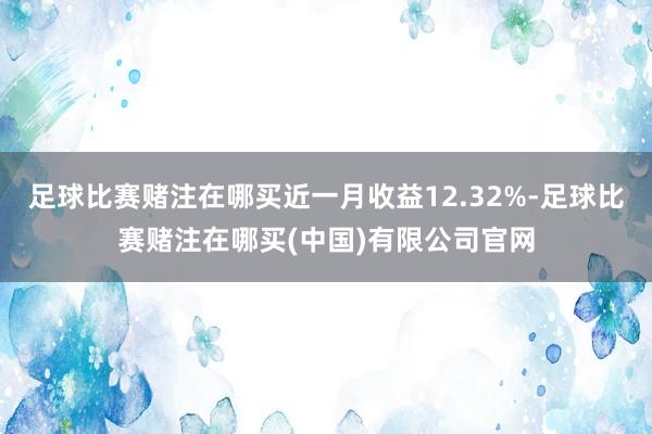 足球比赛赌注在哪买近一月收益12.32%-足球比赛赌注在哪买(中国)有限公司官网