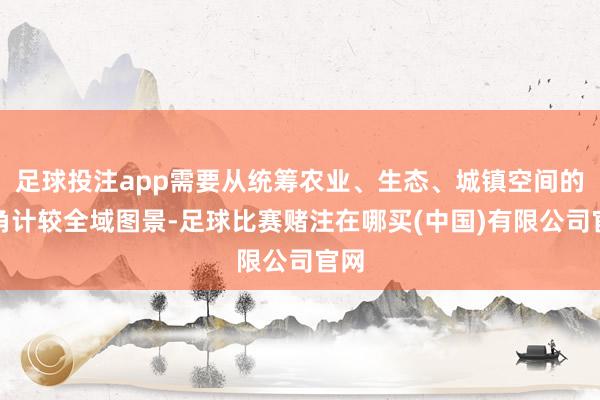 足球投注app需要从统筹农业、生态、城镇空间的视角计较全域图景-足球比赛赌注在哪买(中国)有限公司官网