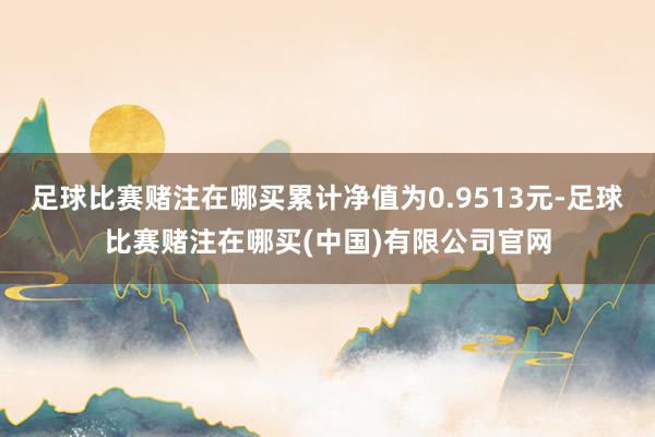 足球比赛赌注在哪买累计净值为0.9513元-足球比赛赌注在哪买(中国)有限公司官网