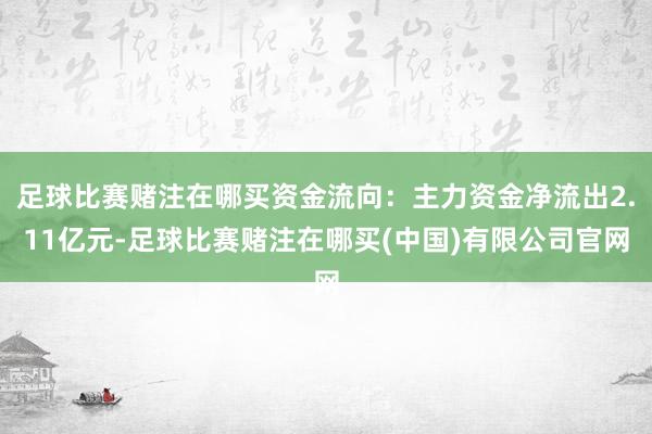 足球比赛赌注在哪买资金流向：主力资金净流出2.11亿元-足球比赛赌注在哪买(中国)有限公司官网