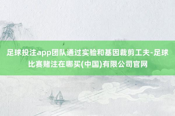 足球投注app团队通过实验和基因裁剪工夫-足球比赛赌注在哪买(中国)有限公司官网