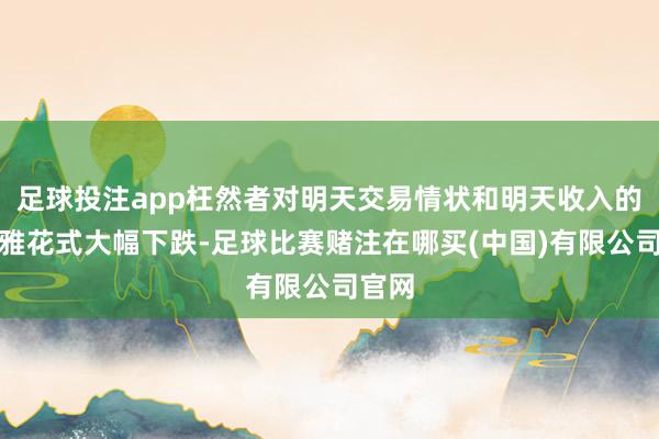 足球投注app枉然者对明天交易情状和明天收入的乐不雅花式大幅下跌-足球比赛赌注在哪买(中国)有限公司官网