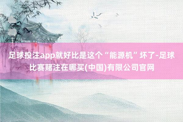 足球投注app就好比是这个“能源机”坏了-足球比赛赌注在哪买(中国)有限公司官网