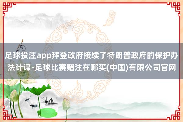 足球投注app拜登政府接续了特朗普政府的保护办法计谋-足球比赛赌注在哪买(中国)有限公司官网