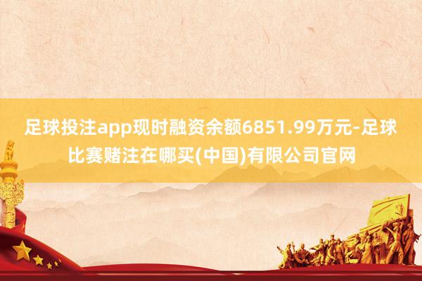 足球投注app现时融资余额6851.99万元-足球比赛赌注在哪买(中国)有限公司官网