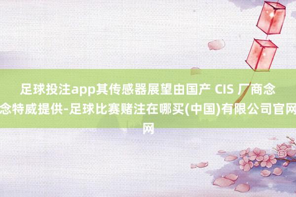 足球投注app其传感器展望由国产 CIS 厂商念念特威提供-足球比赛赌注在哪买(中国)有限公司官网