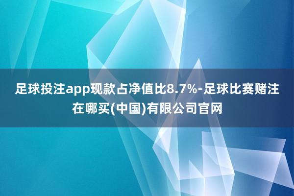 足球投注app现款占净值比8.7%-足球比赛赌注在哪买(中国)有限公司官网