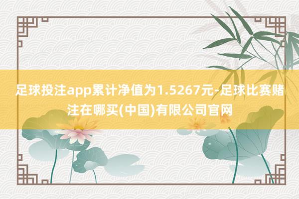 足球投注app累计净值为1.5267元-足球比赛赌注在哪买(中国)有限公司官网